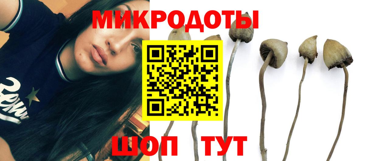 Лсд 25 Сорочинск