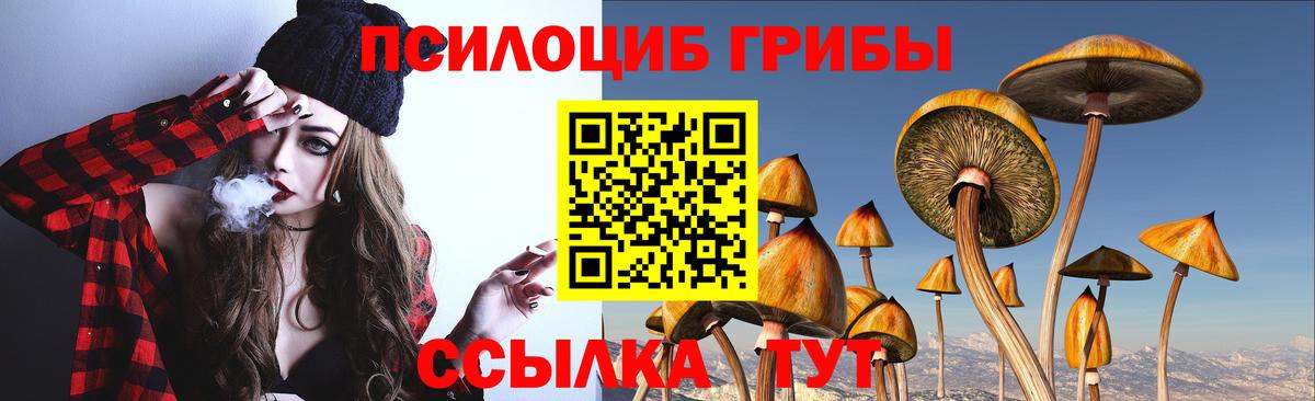 Псилоцибиновые грибы Cubensis  Галлюциногенные грибы MAGIC MUSHROOMS  где найти   Вход с VPN  Сорочинск 